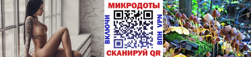 Галлюциногенные грибы Psilocybe  Железногорск 